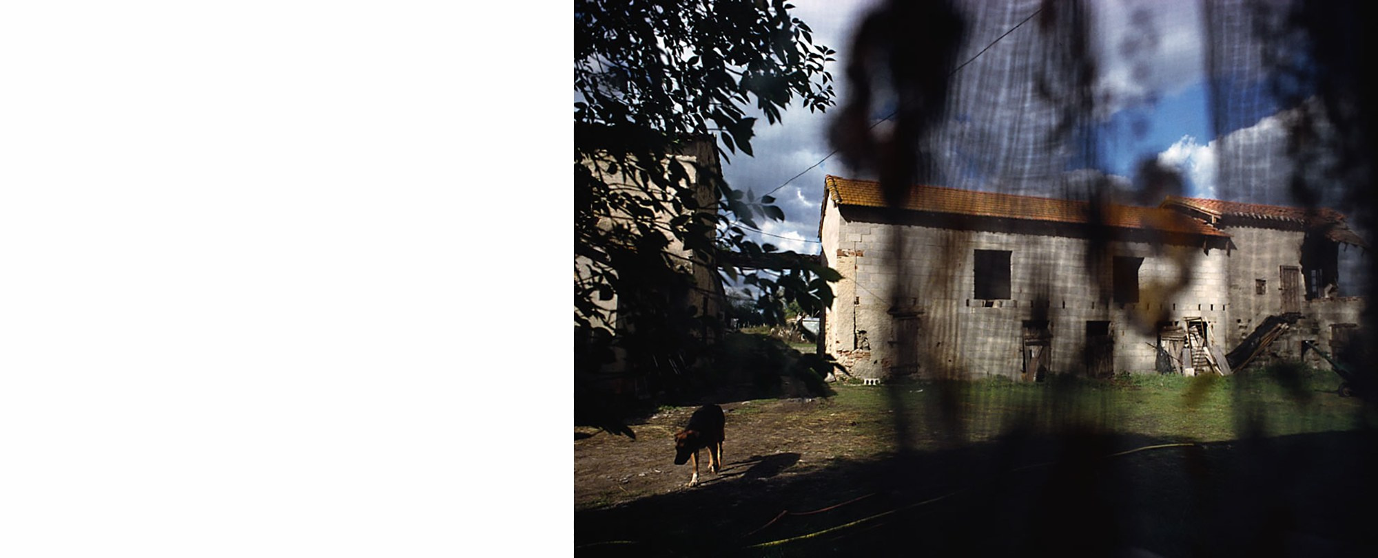 Christophe Agou «Face au silence». …