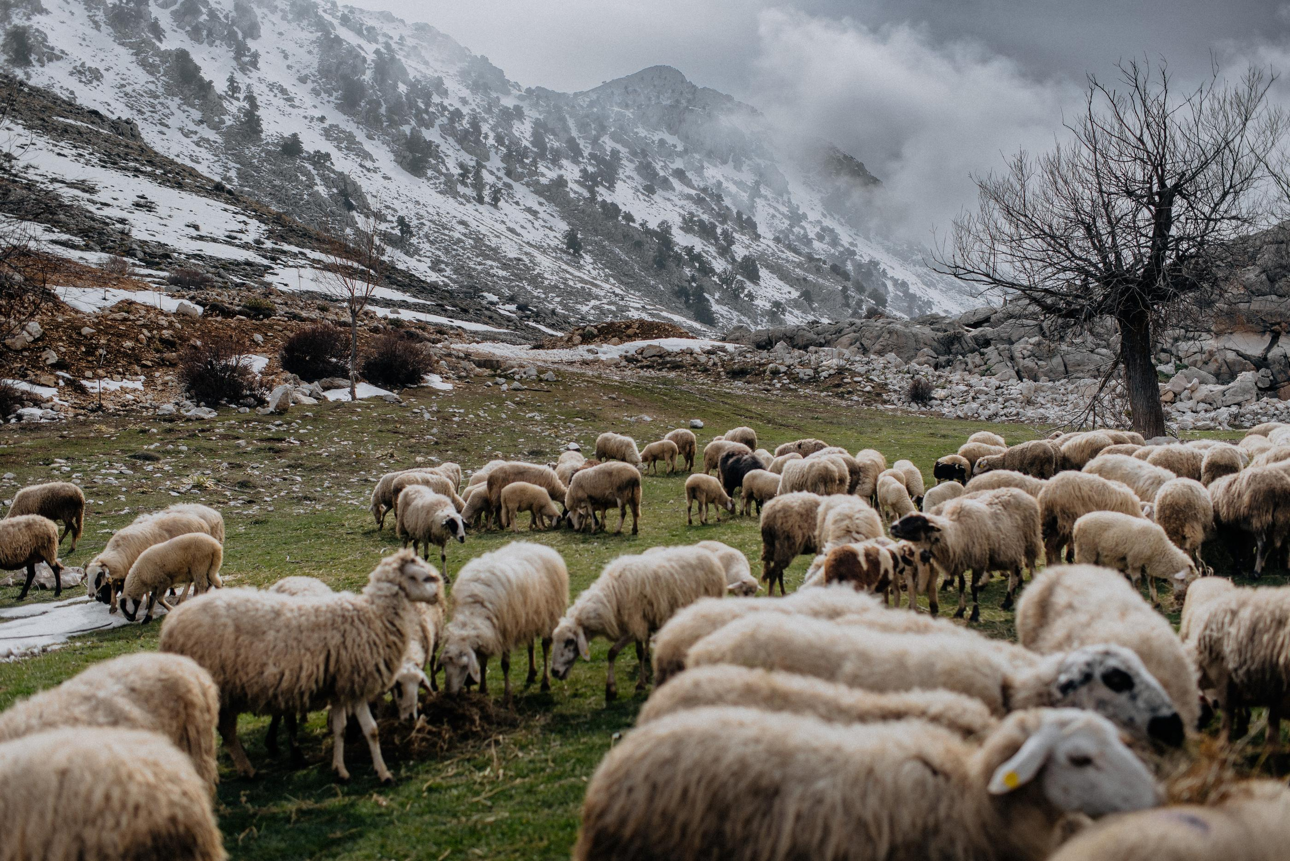 “Турецкая Исландия” 10-12 июня (1). Свадебный и Трэвел фотограф Рустам Калимуллин