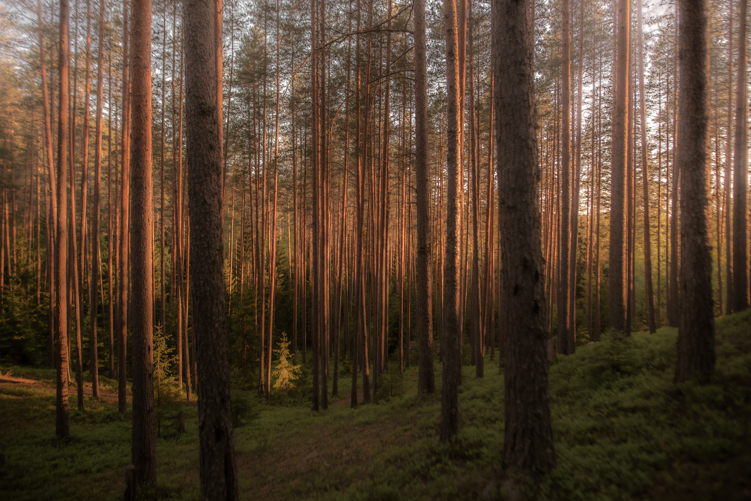 Шаманский фото-ретрит в Петяярви. Лилия Гоца. Гунфу Шаолинь. Арт-фотография. Ретриты