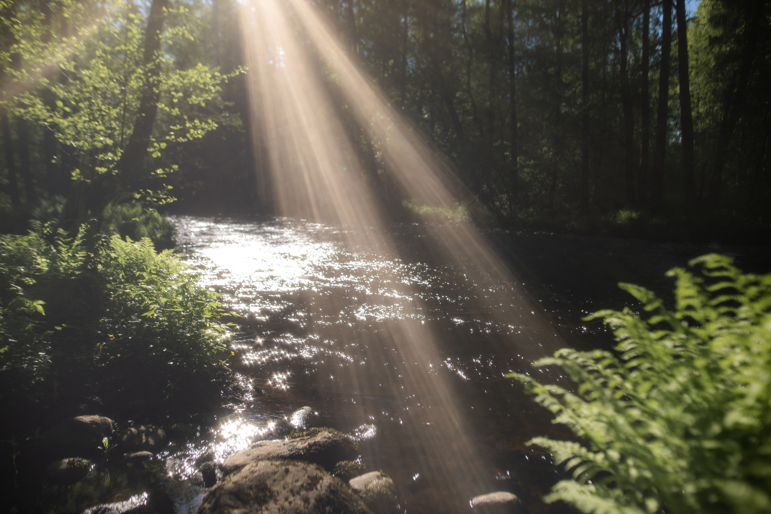Шаманский фото-ретрит в Петяярви. Лилия Гоца. Гунфу Шаолинь. Арт-фотография. Ретриты