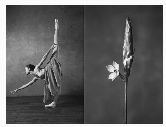 Press — Big Picture