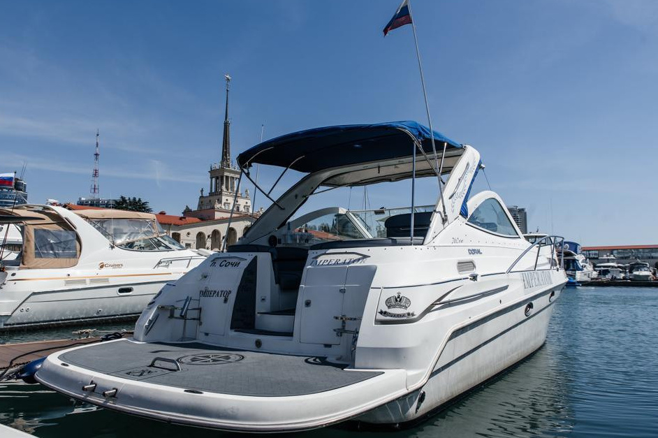 Официальный сайт. Выбор Сочи!