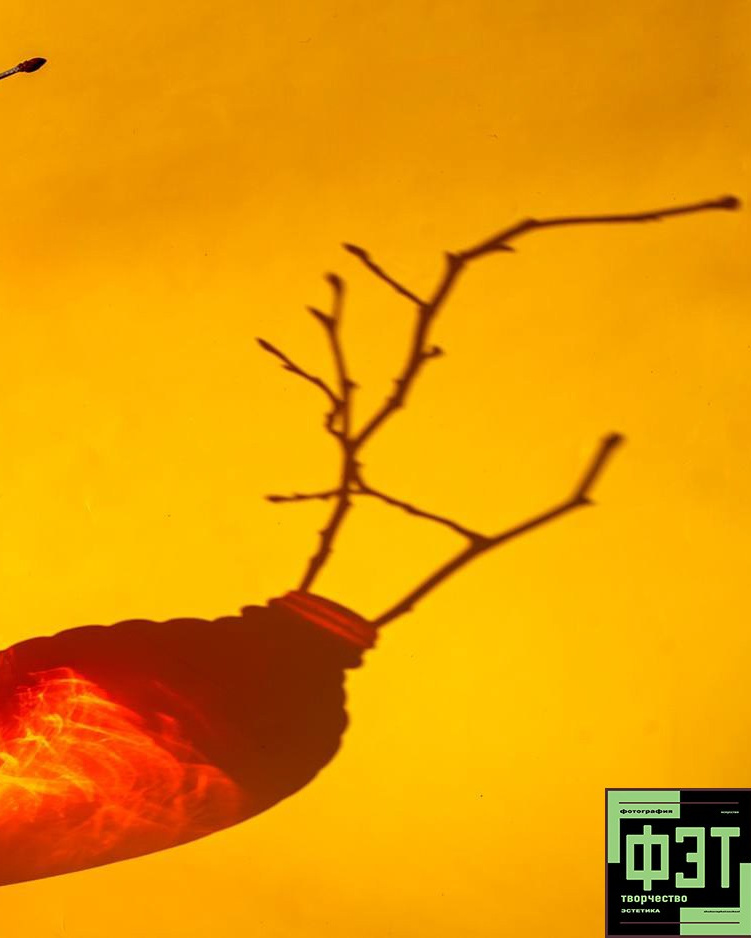 Альбом 05.04.26 в рамках проекта для фотографов ФЭТ