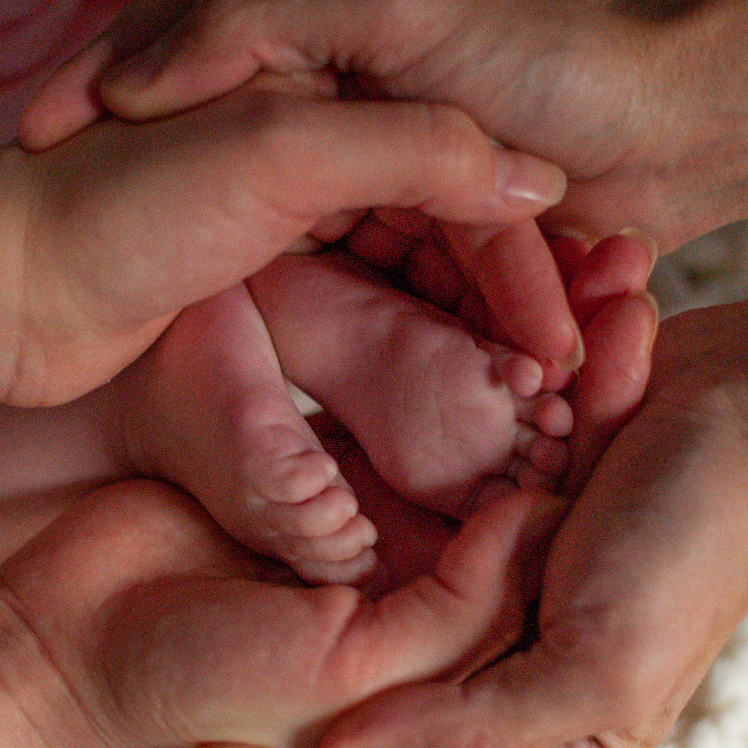 Детский и семейный фотограф Афанасьева Ольга. Санкт-Петербург