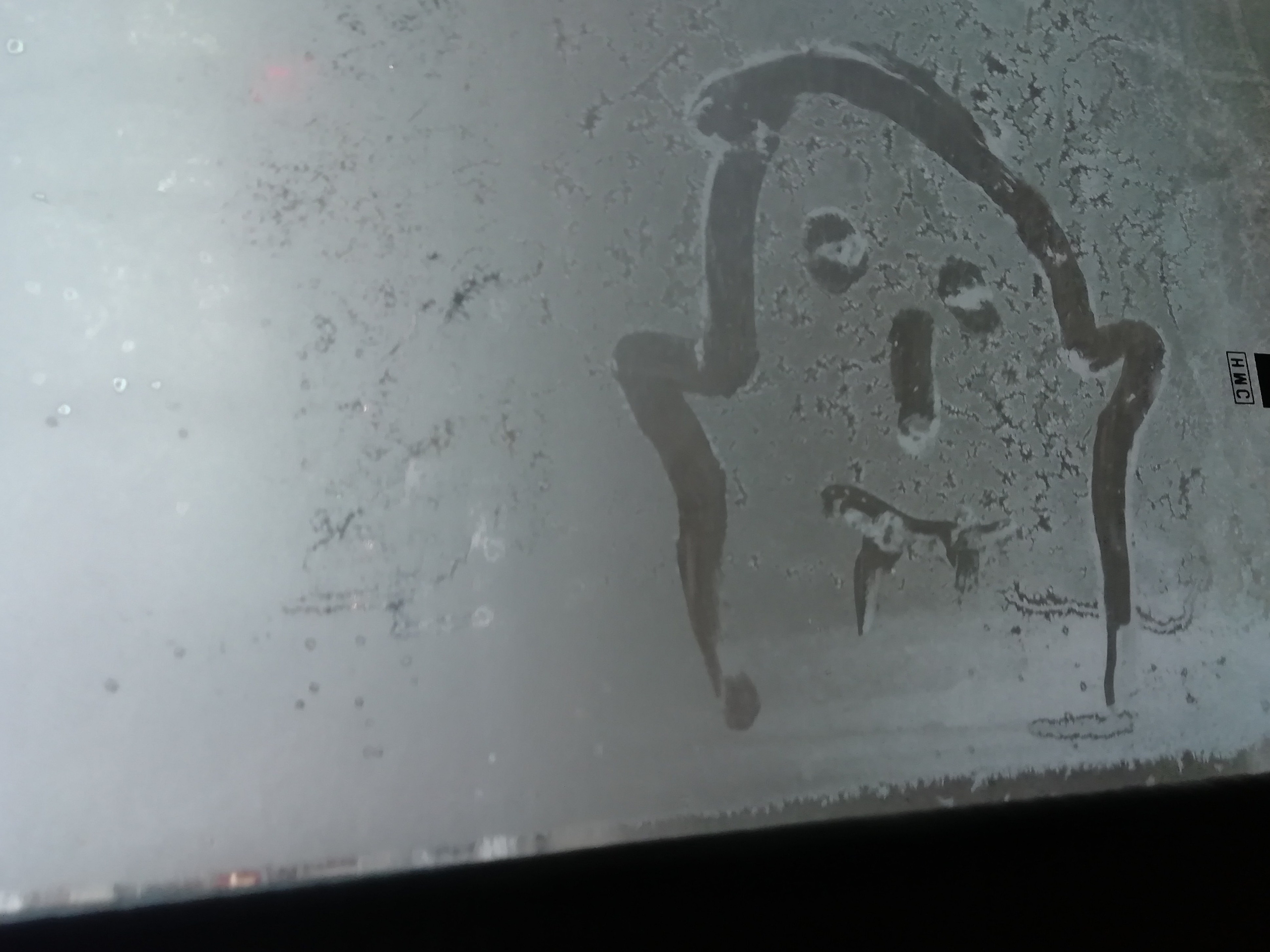 Рисункинаокнахавтобуса. Художник Рыбак Николай