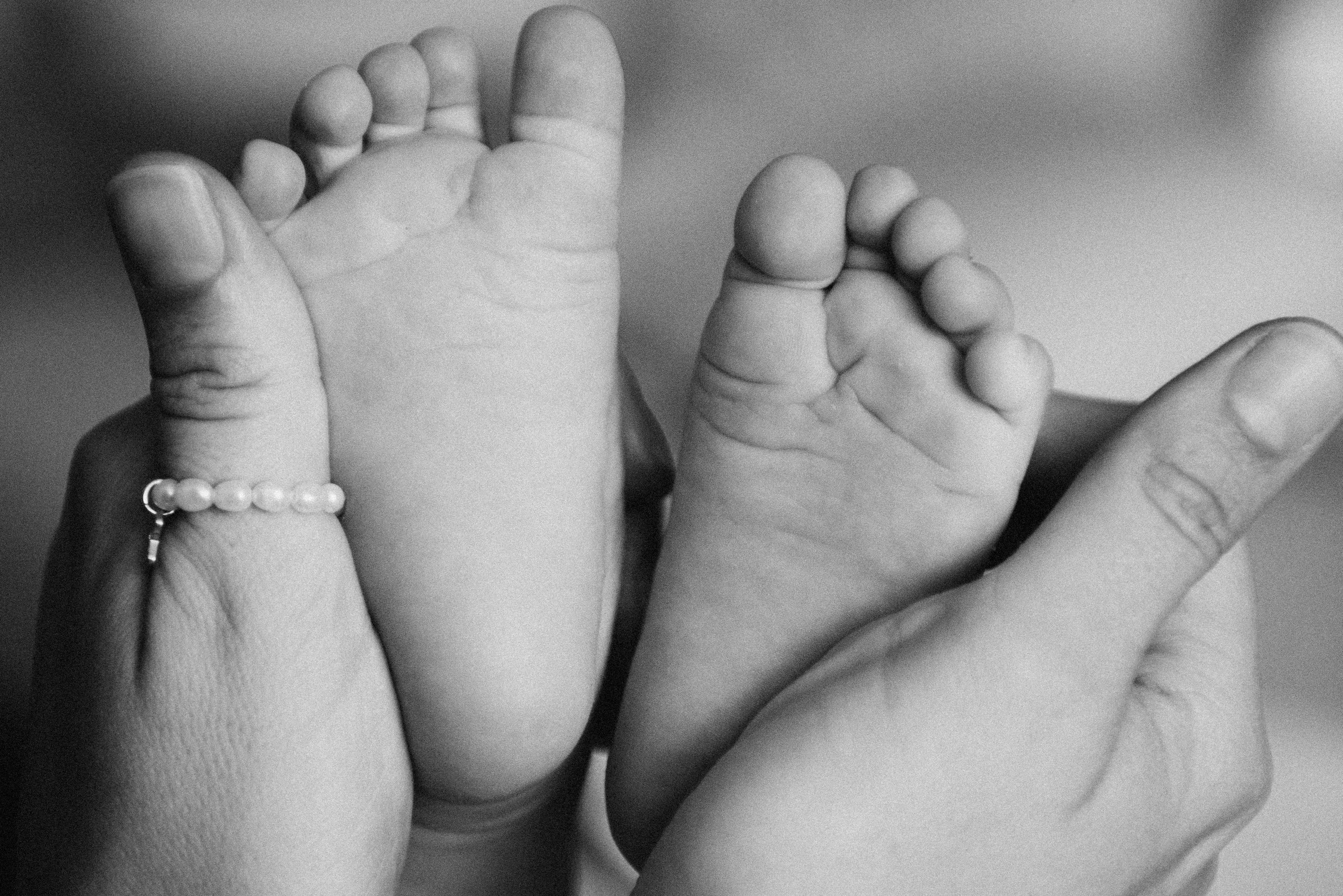 СТОИМОСТЬ. Семейный фотограф в Новосибирске Женя Индрикова