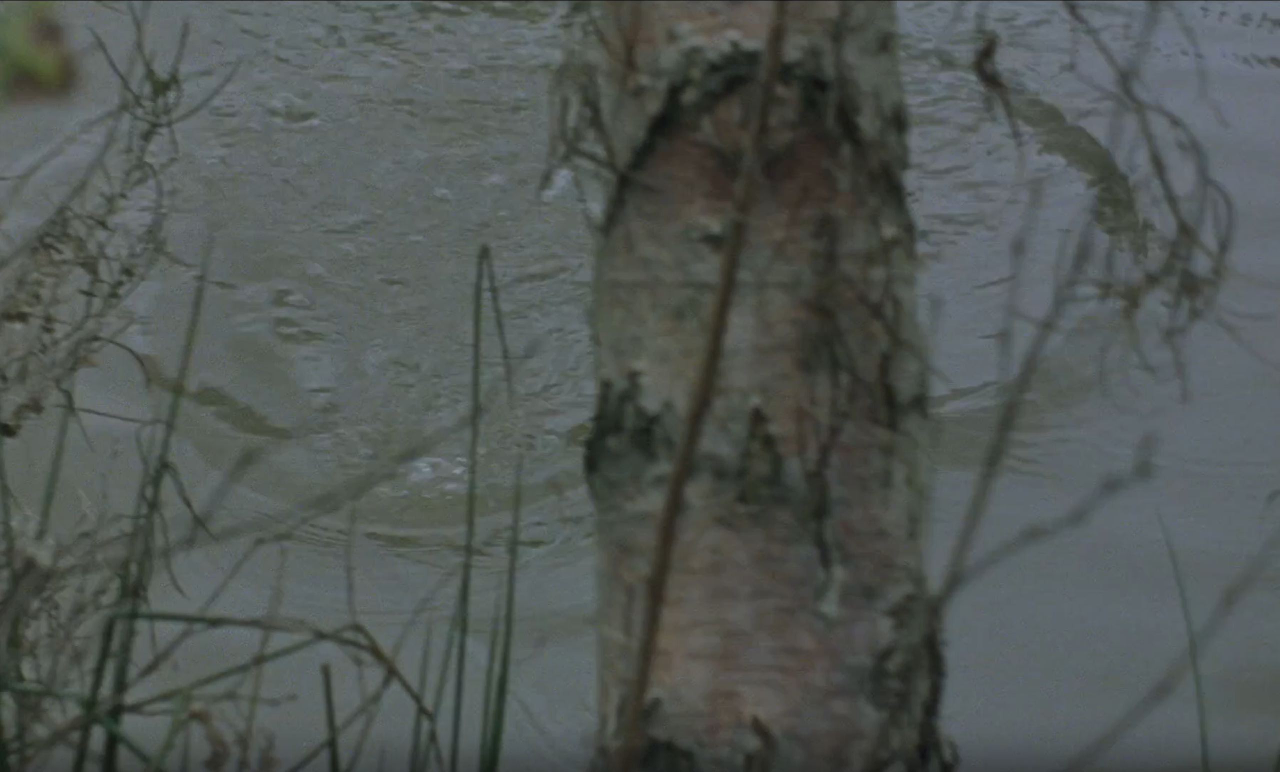 Братья Дарденн. Создание видеороликов под ваш запрос и обучение