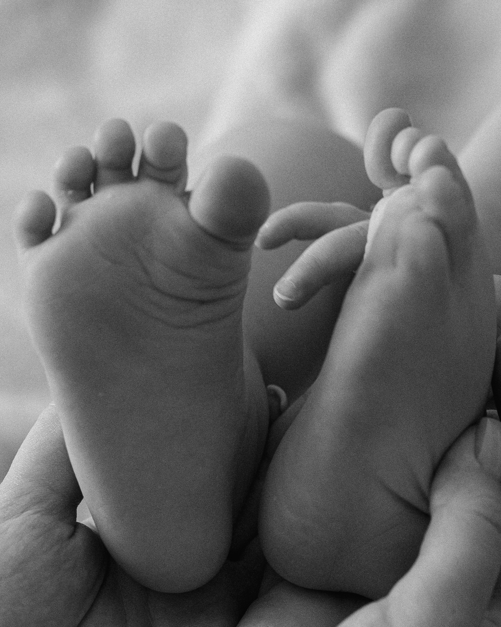 Прайс. Портретный фотограф Тюмень Елена Шарапова