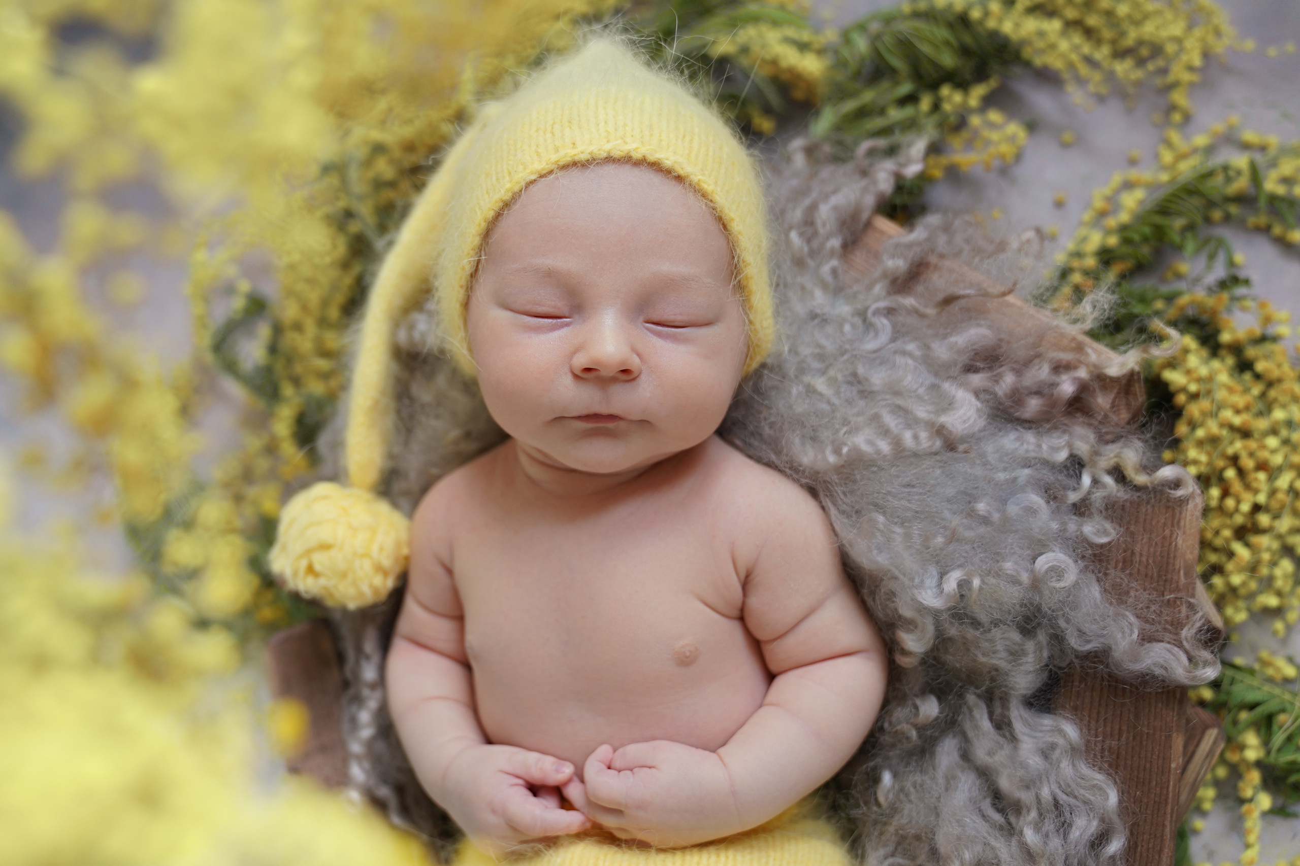 Услуги. Фотограф новорожденных Наталья Курышова Москва Одинцово