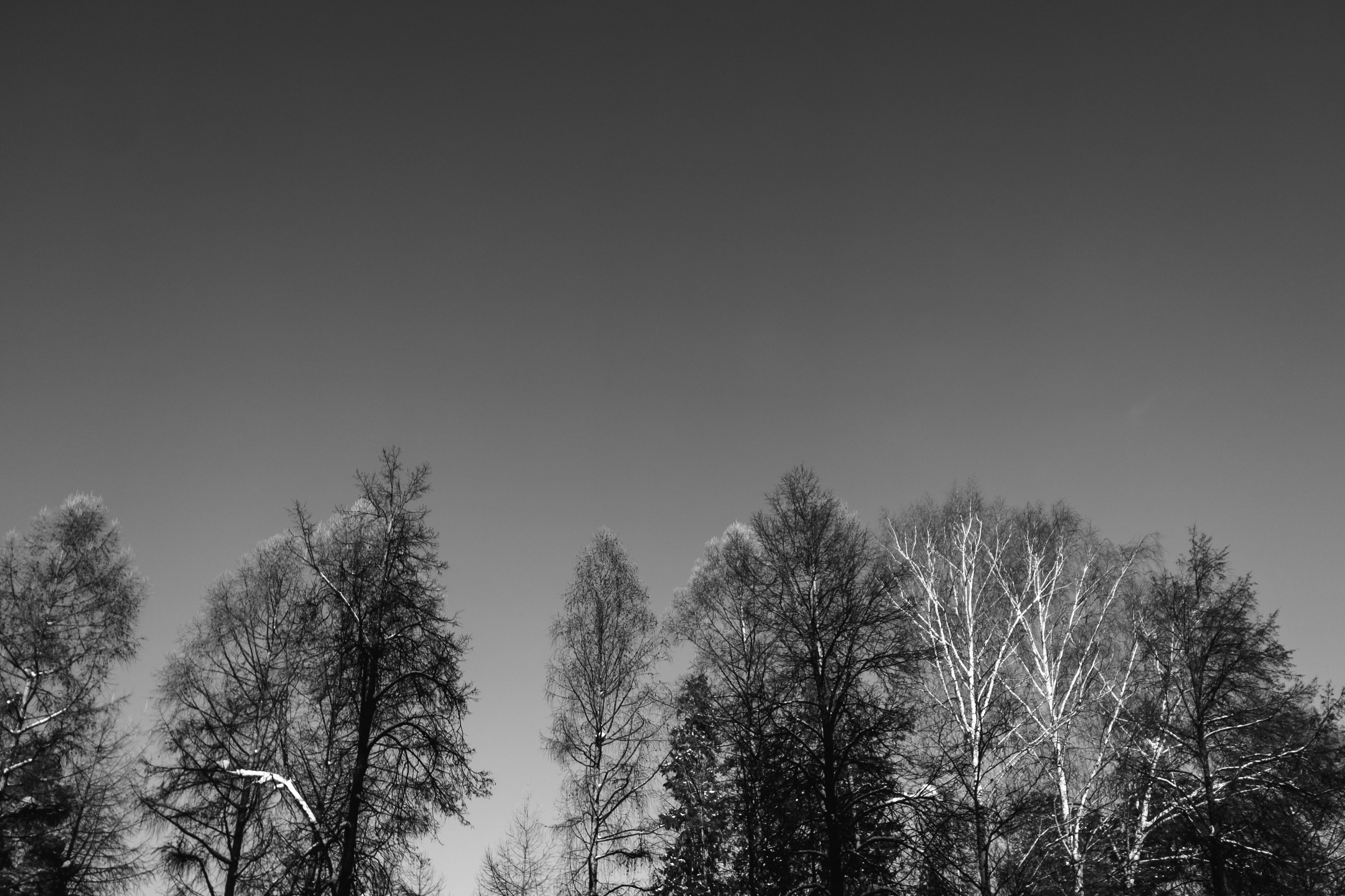 Фоточеллендж «30 дней — 30 фото». Олег Романов. Мастер фото по спорту