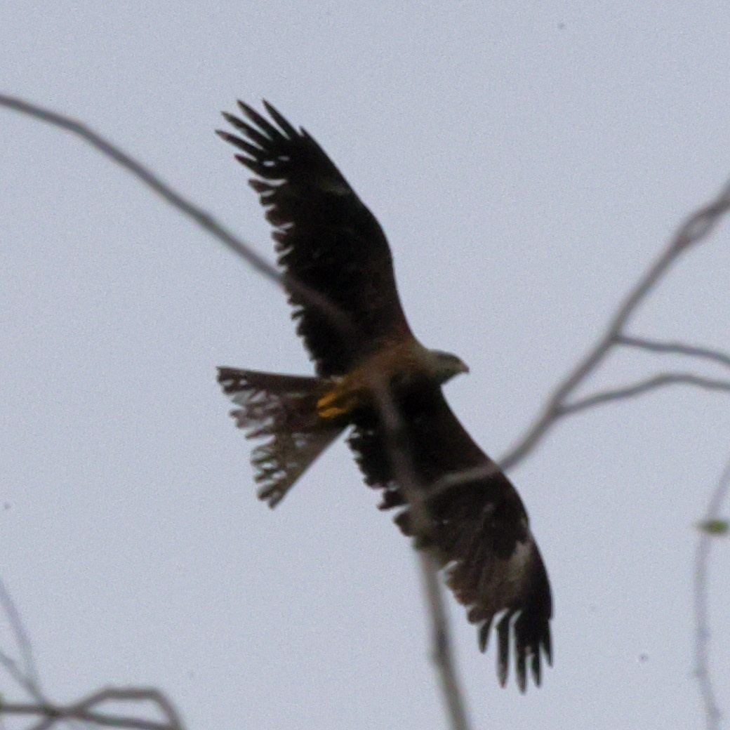 Выходные 7–8 июня