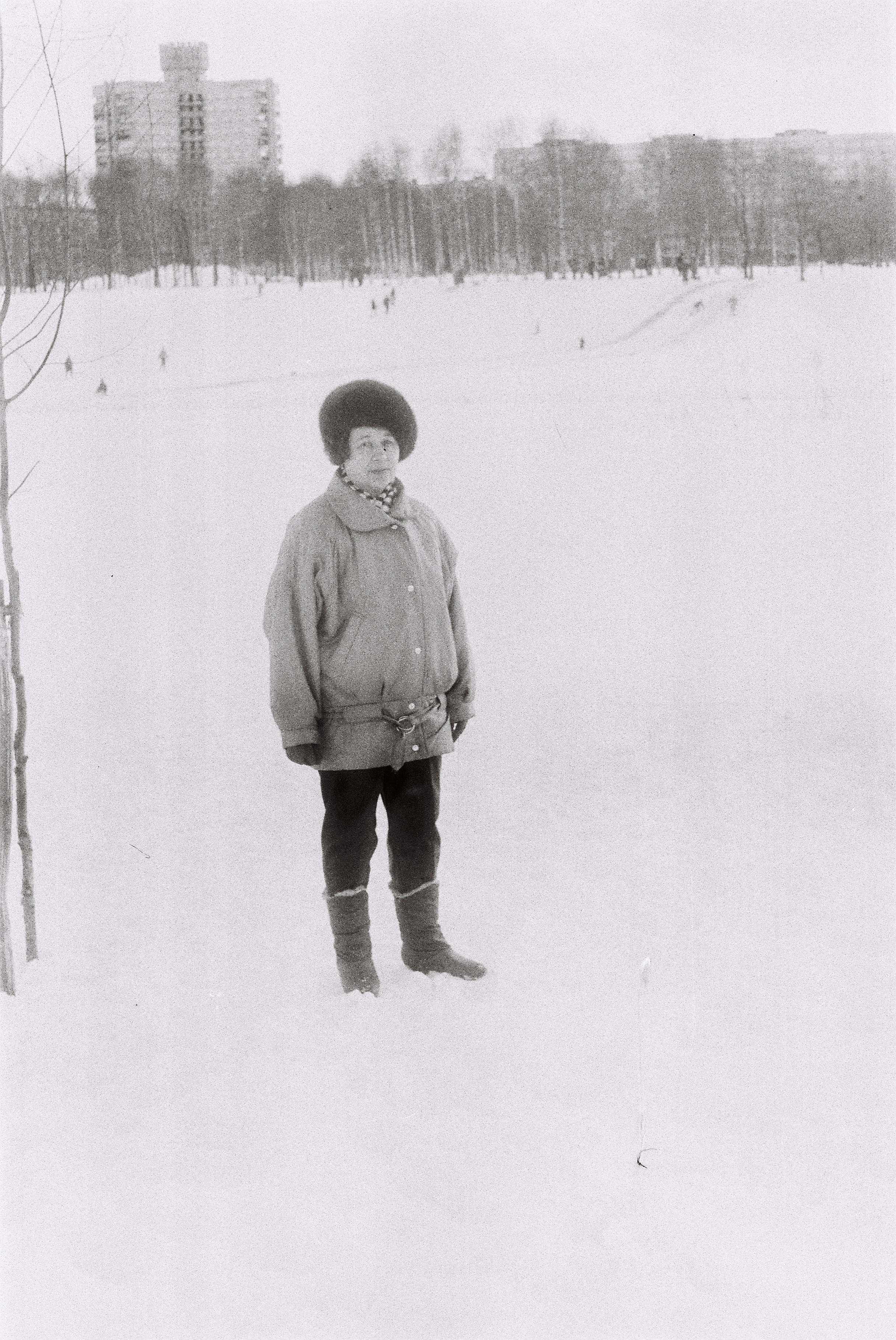 Прощай, Гражданка!. Главная