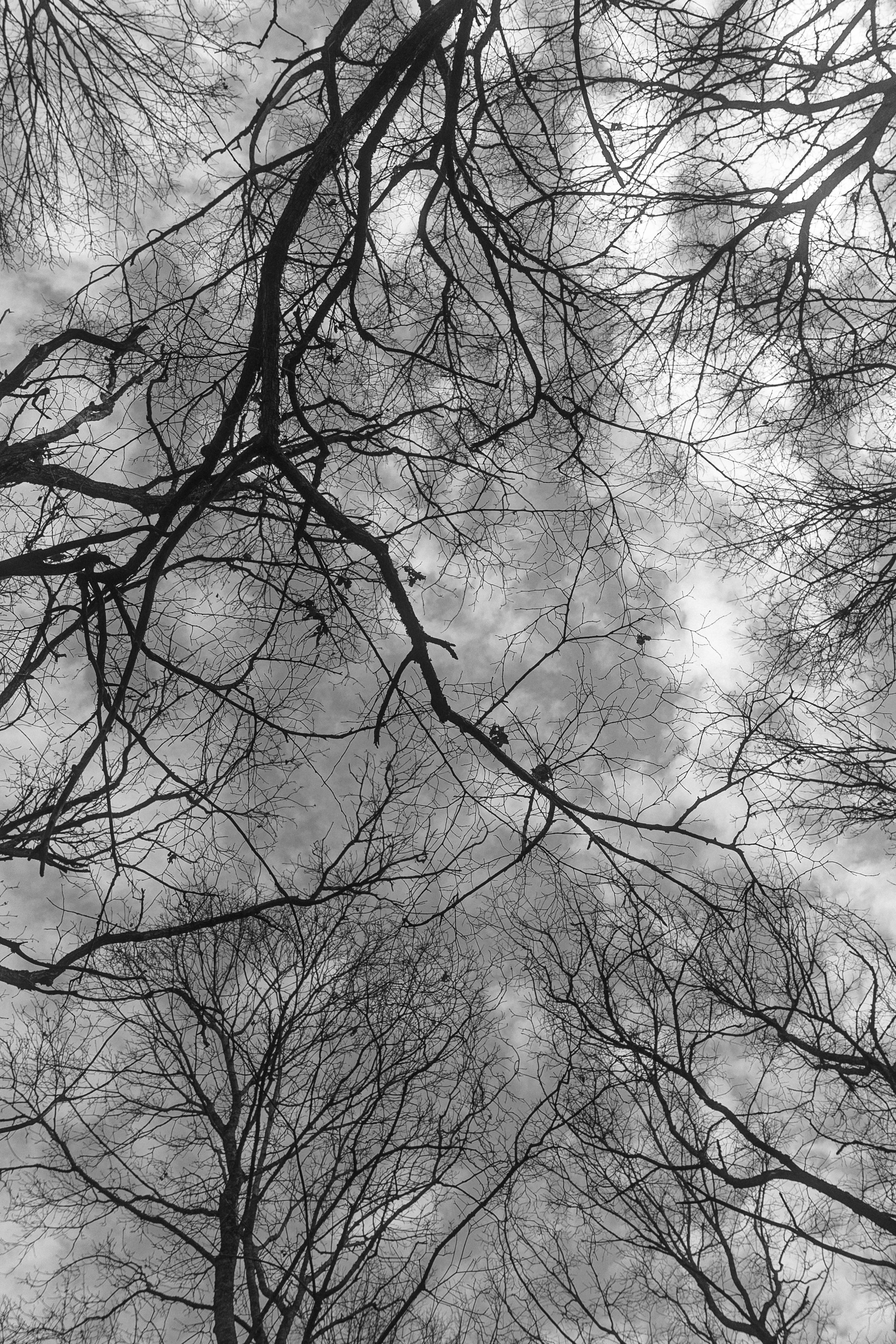 Solitude. Свадебный фотограф Колесников Антон