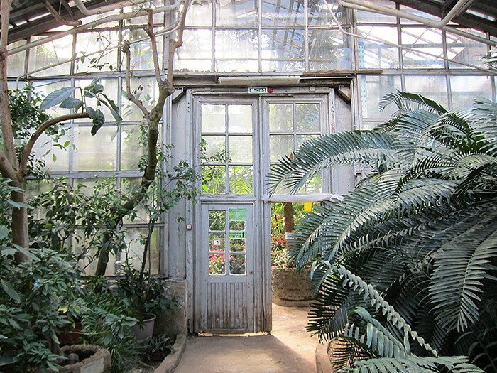 Локации для фотосессий в Москве. Фотограф, фотосессии «Всё включено» в Москве и Московской области