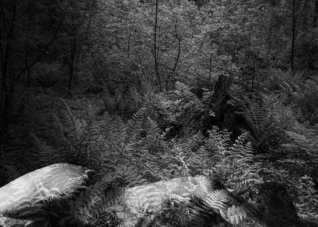 Рассказы. Документальный фотограф, журналистка и писательница Катя Дериглазова