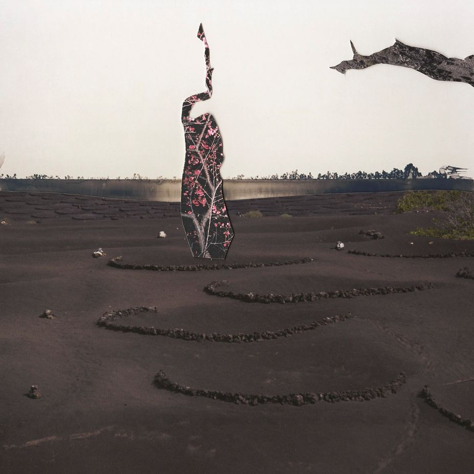 КЛЮЧ ФОТОПРОЕКТЫ