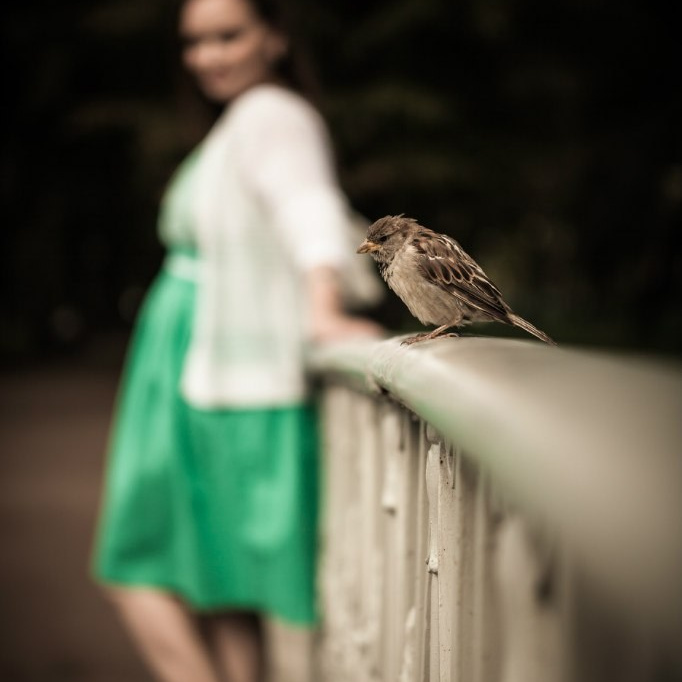 Фотосессии у профессионально фотографа