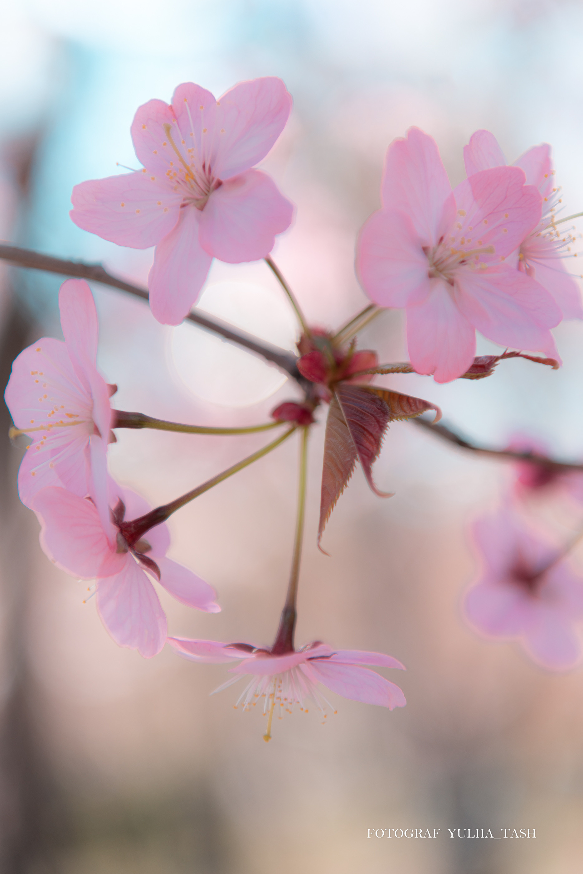Пробуждение. Любимый фотограф