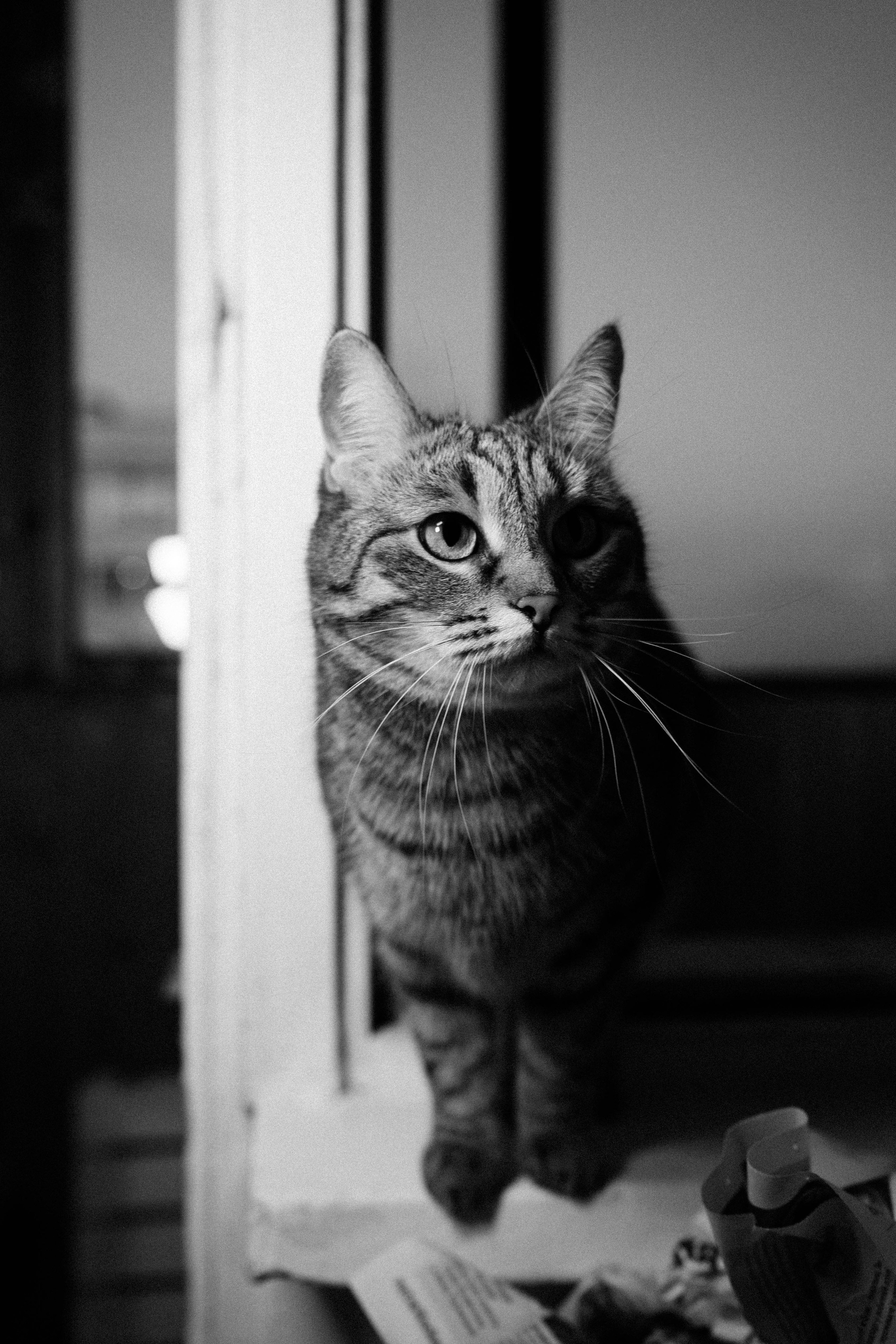 Катя. Фотограф из Москвы — DASHA NOVA | Авторская фотография в разных жанрах