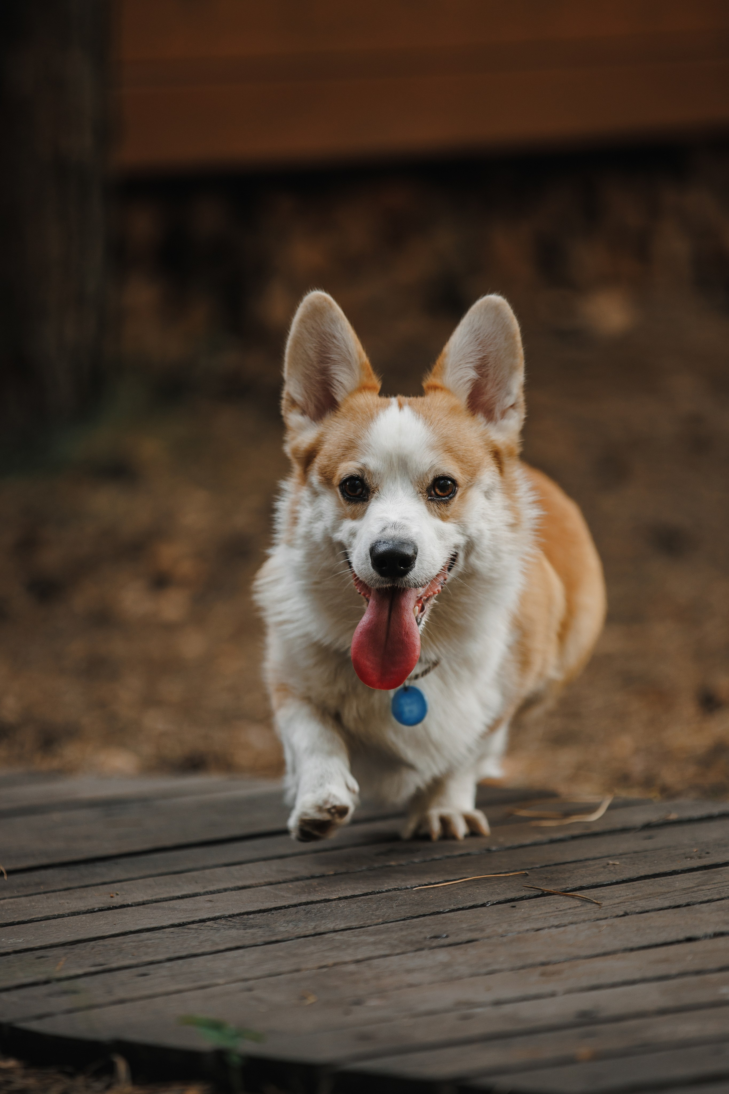 RA MARINA PHOTO | Фотограф