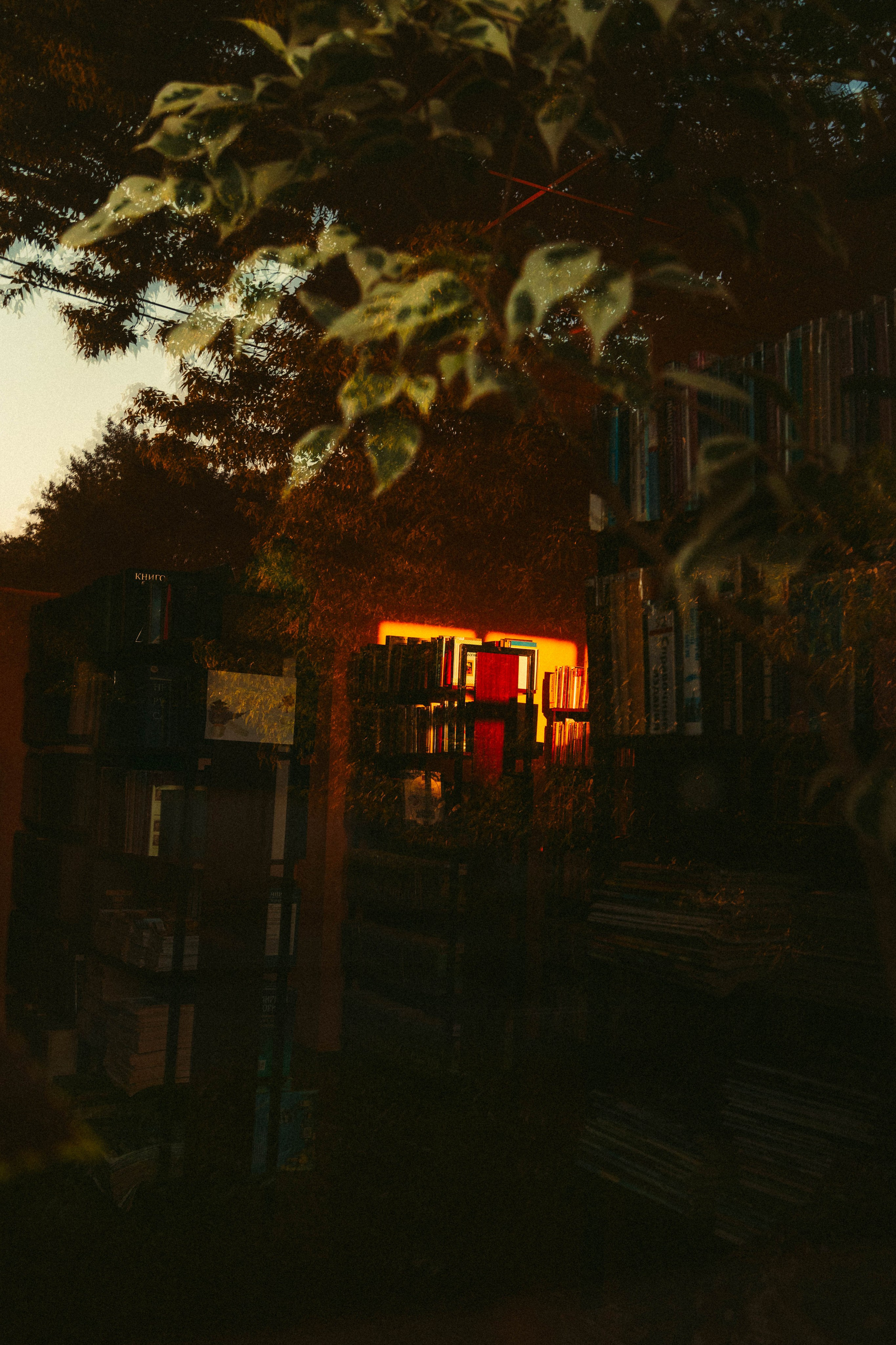 Ты всё о Мане, да о Нимейере. А мир вокруг тебя — о разрухе и панельках. Репортажный и портретный фотограф в Тольятти