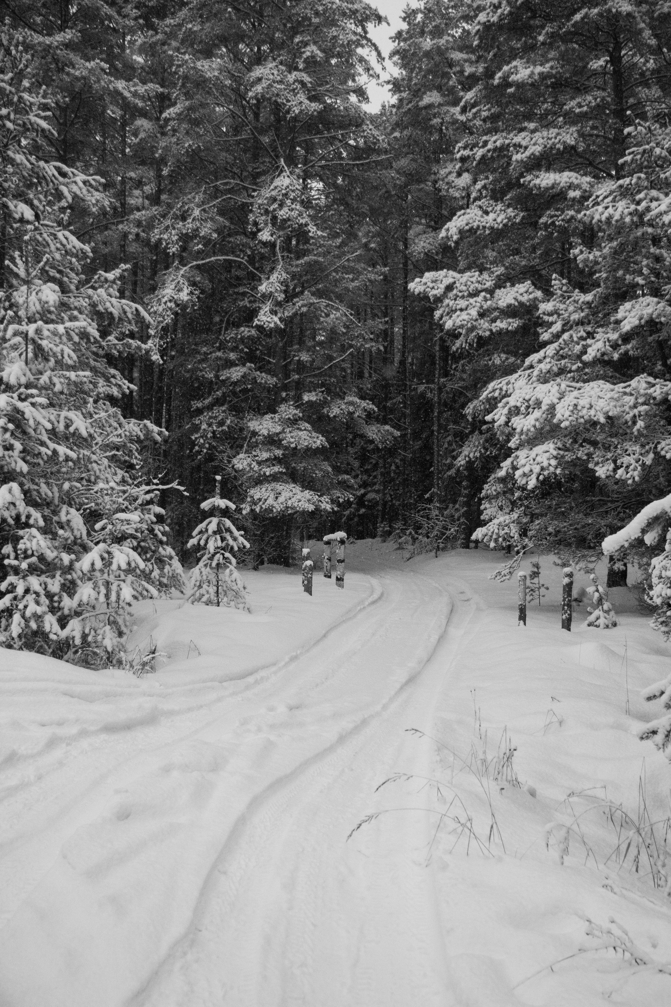 Зимняя фотосессия — сказка в Волочке