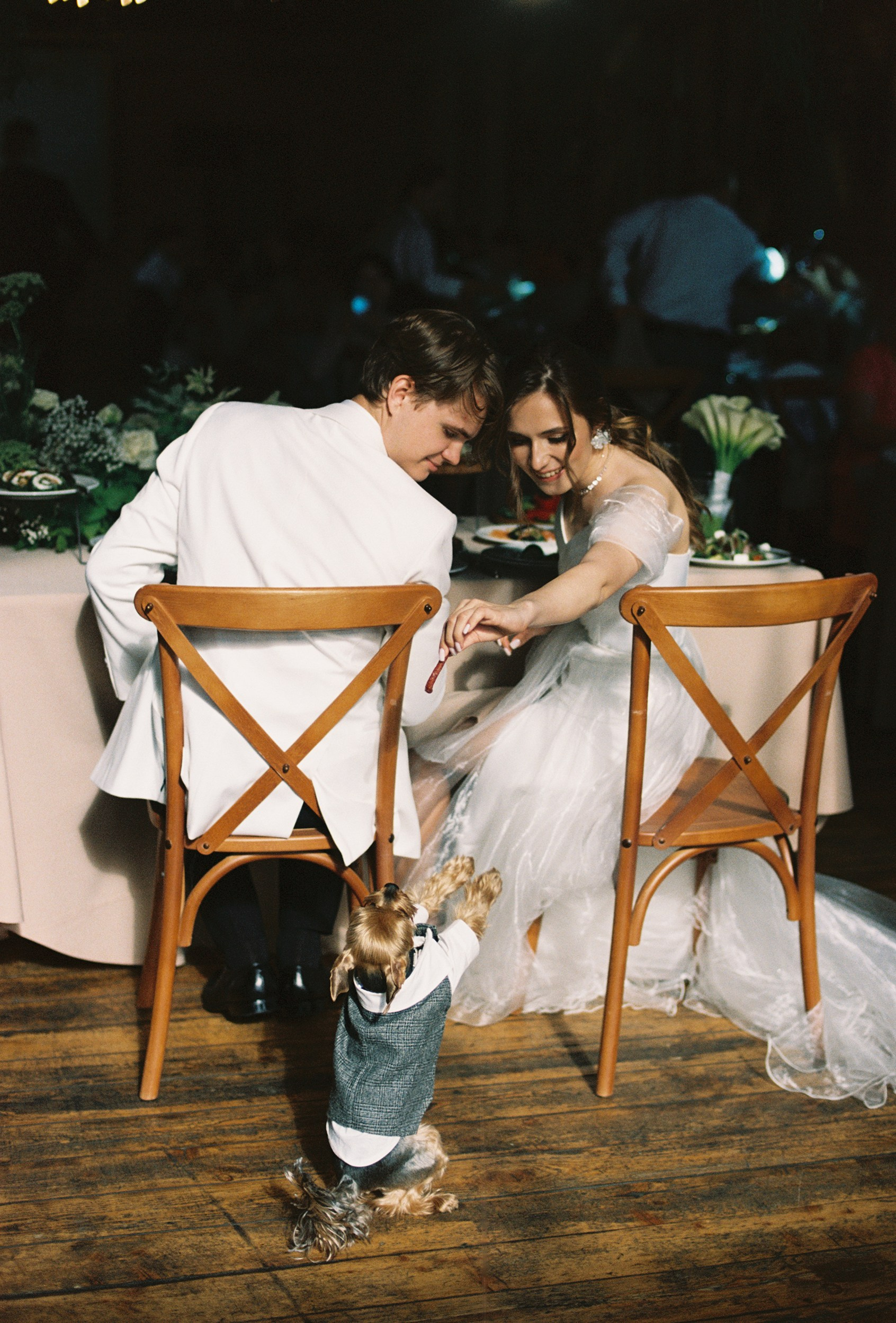 Друзья лишними не бывают - Бублик в деле. Свадебный фотограф Сергей Скрипник