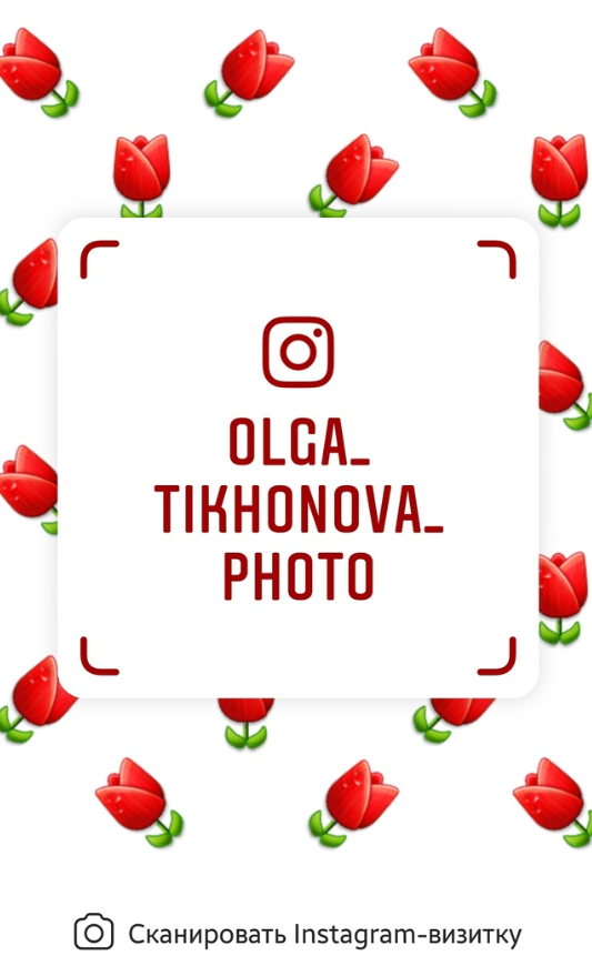 Рекомендации в ухаживании за щенком!. Питомник Йоркширских терьеров Дэнстайл в Санкт-Петербурге заводчик Тих