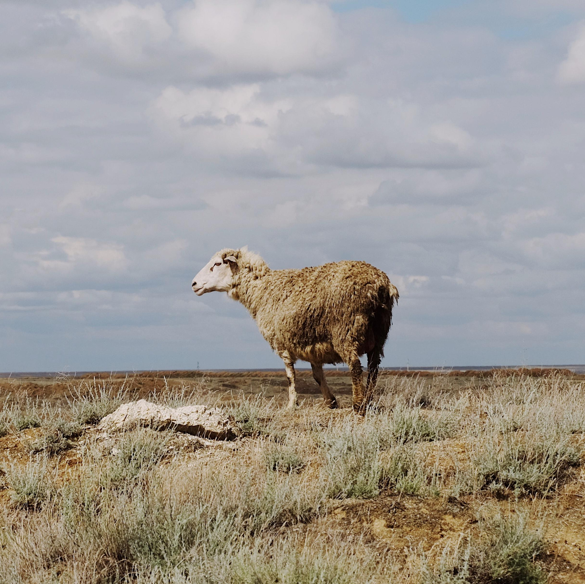 Maria Marco | photographer, artist