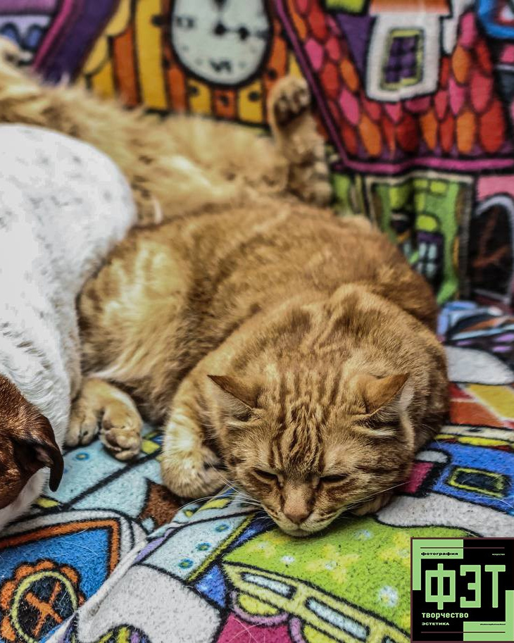 Наталья Переверзева