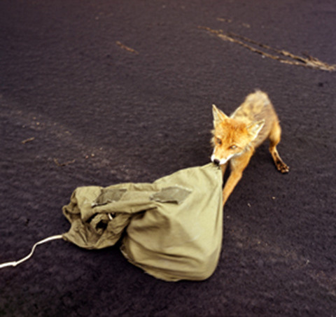 Параллельная реальность Вадима Гиппенрейтера. ВАДИМ ГИППЕНРЕЙТЕР — ВЕЛИКИЙ ФОТОГРАФ ЗЕМЛИ РУССКОЙ