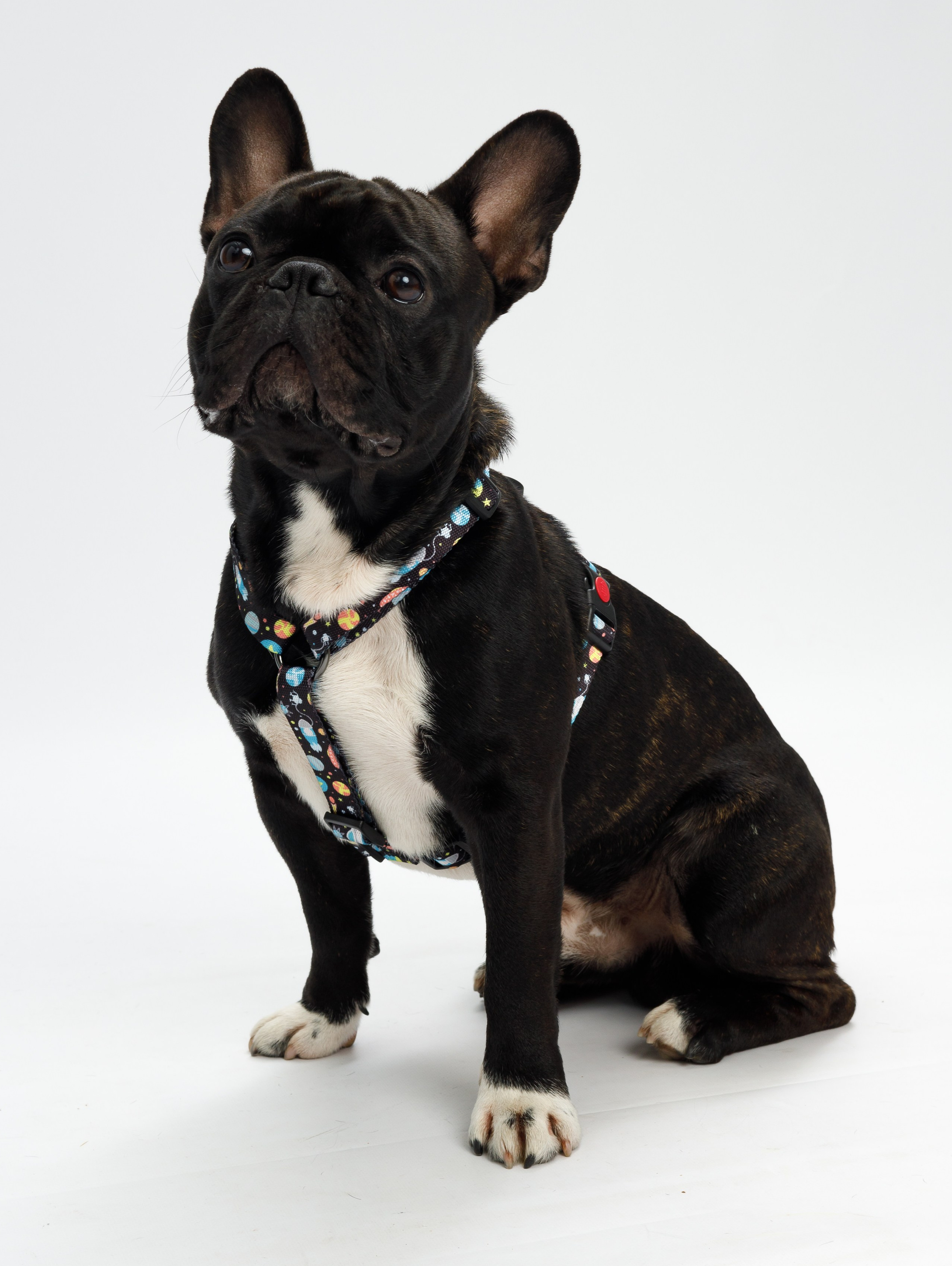 Преметный фотограф. Репортажный и портретный фотограф в Москве Саханцева Анна