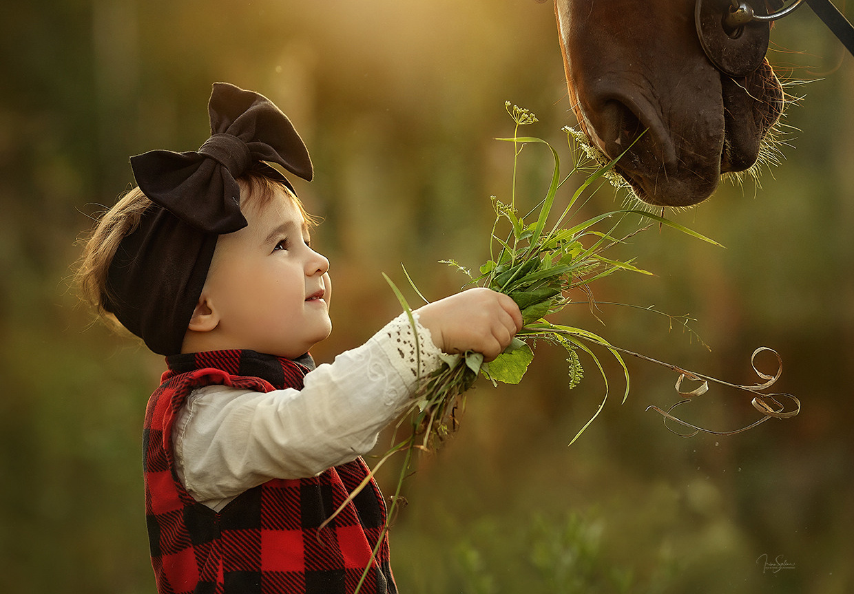 Семейная фотосессия и лошадки. Детский и семейный фотограф в Екатеринбурге