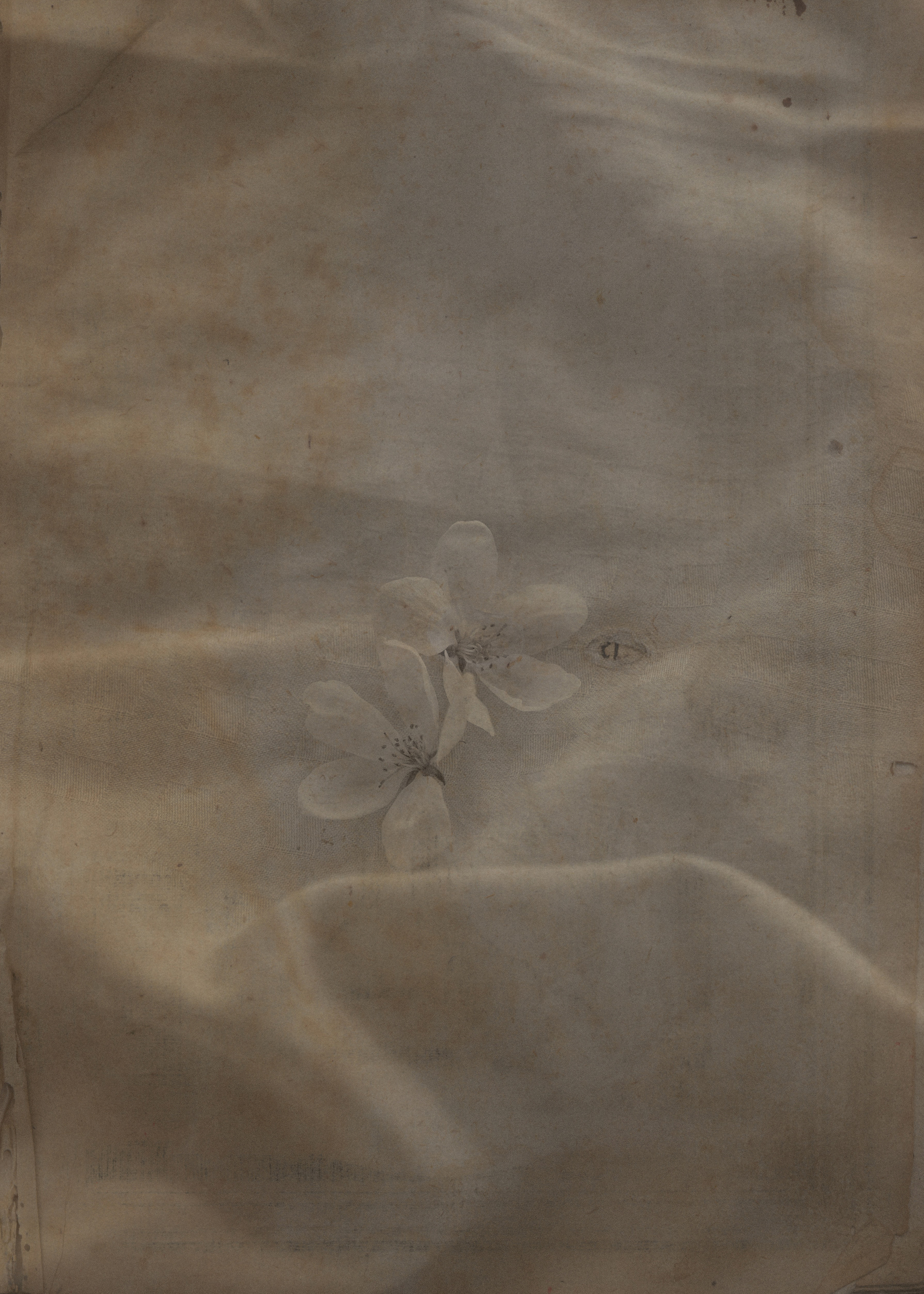 Свадебный проект «РОМЕО И ДЖУЛЬЕТТА». Фотограф в Омске Екатерина Павлова