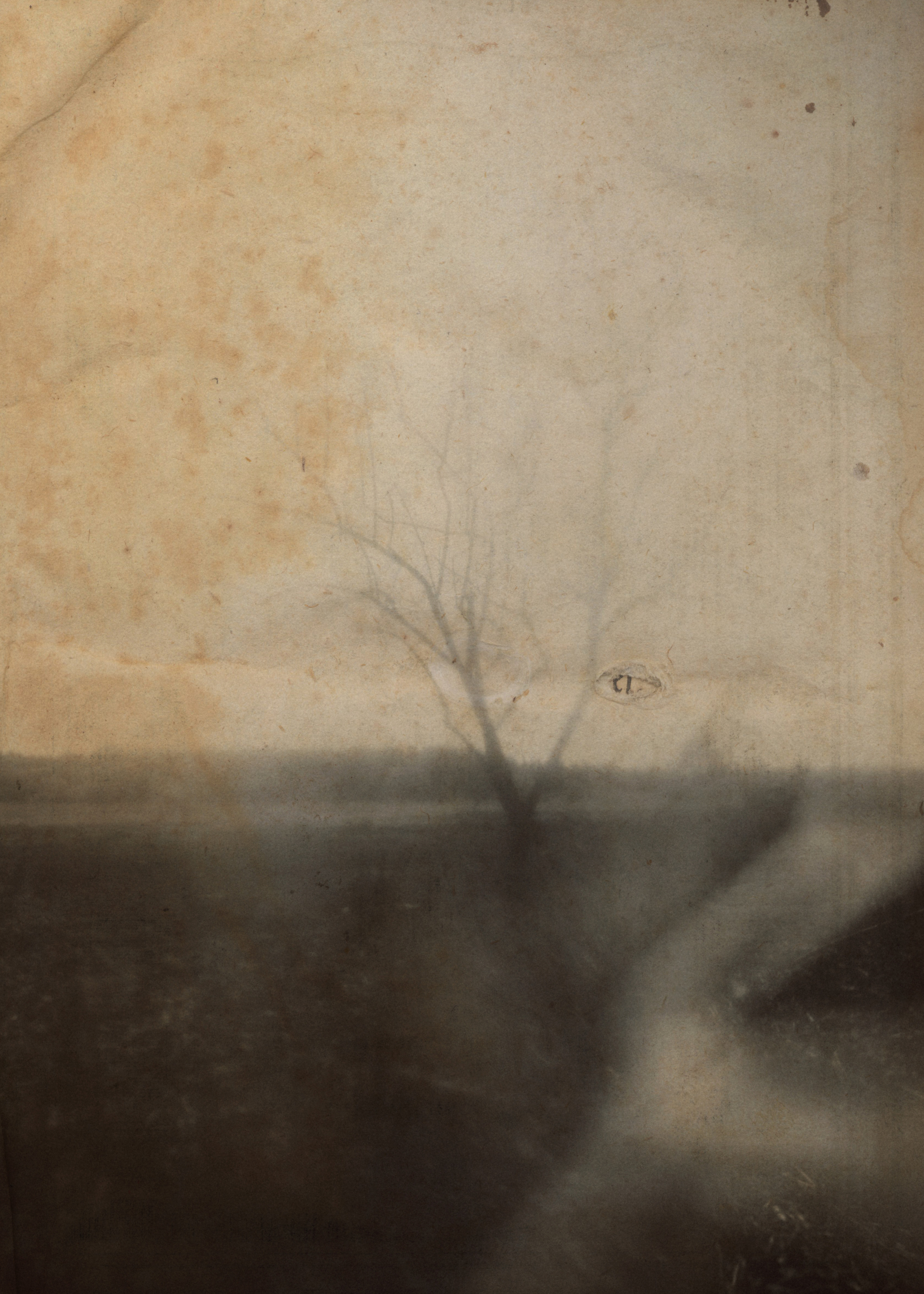 Свадебный проект «РОМЕО И ДЖУЛЬЕТТА». Фотограф в Омске Екатерина Павлова