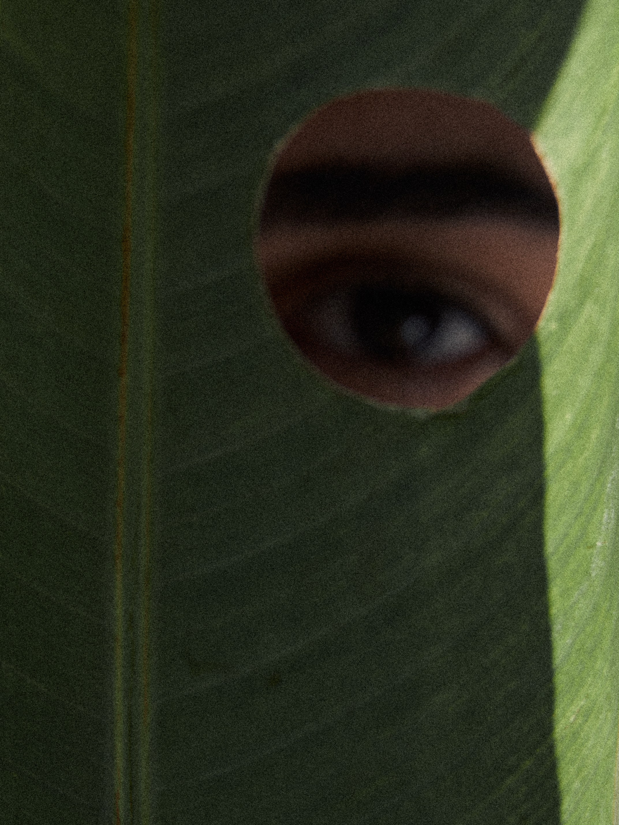 Oasis. Главная