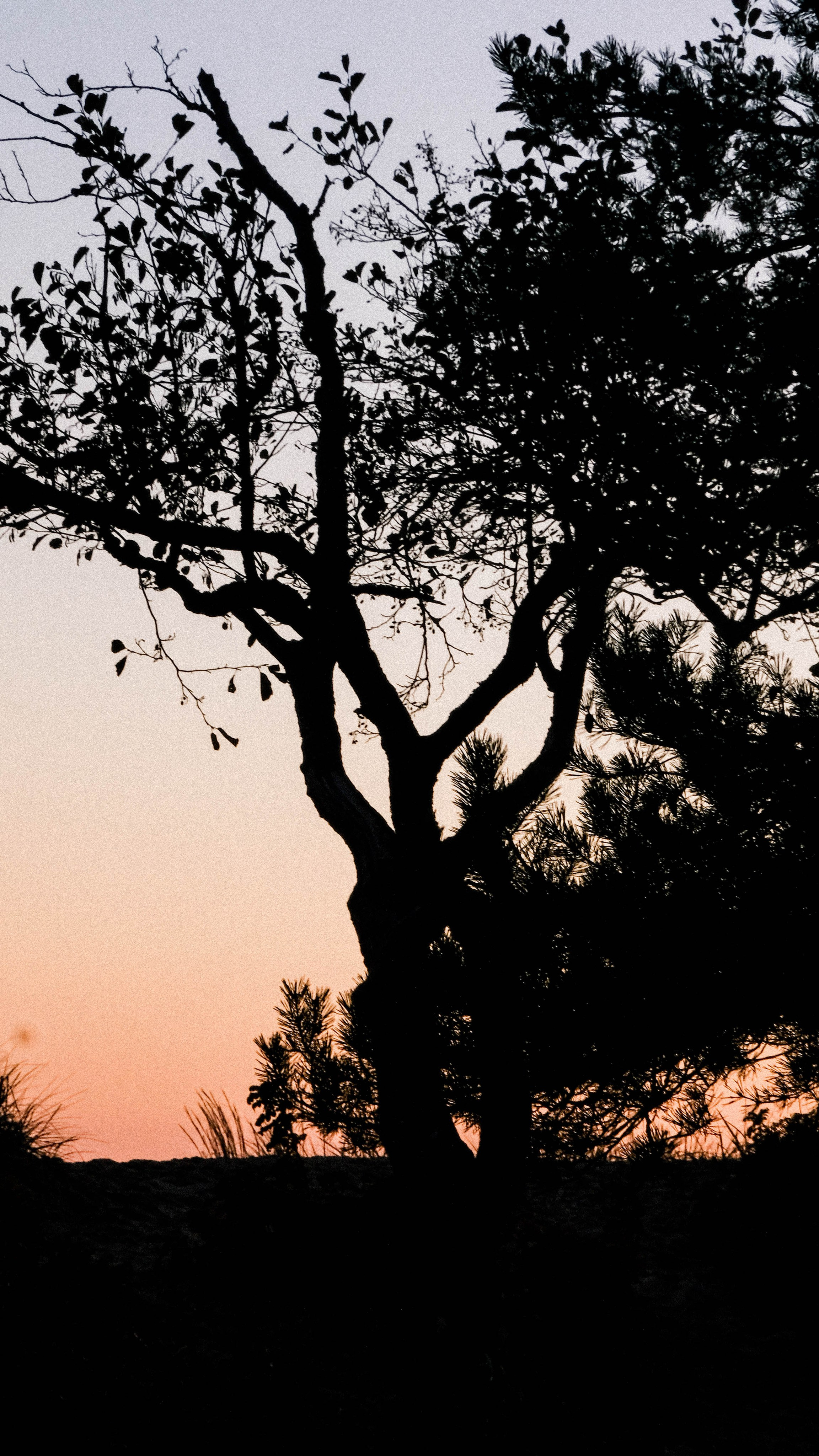 JUST PASSING BY. AI — artist | Documentary Photographer St. Petersburg, Milan