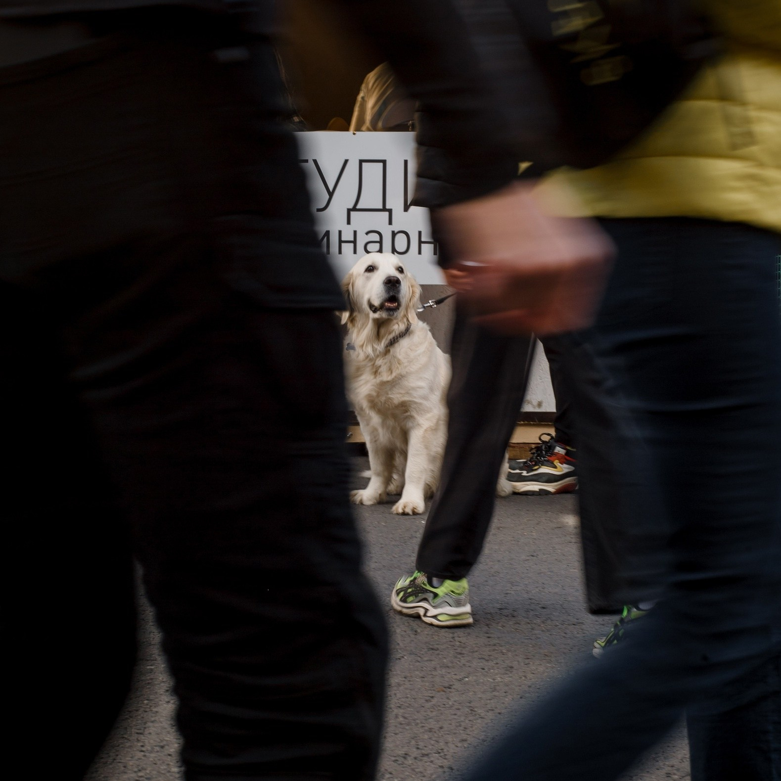 фотосессия