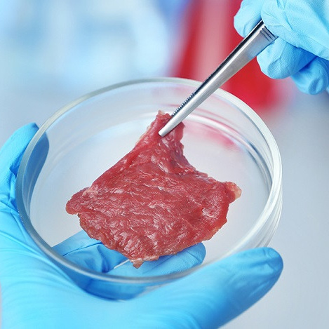 ПРОЕКТЫ КАФЕДРЫ. Главная