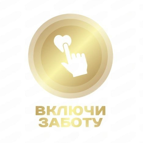 АНО «Центра социальных проектов «Путь в большой мир»