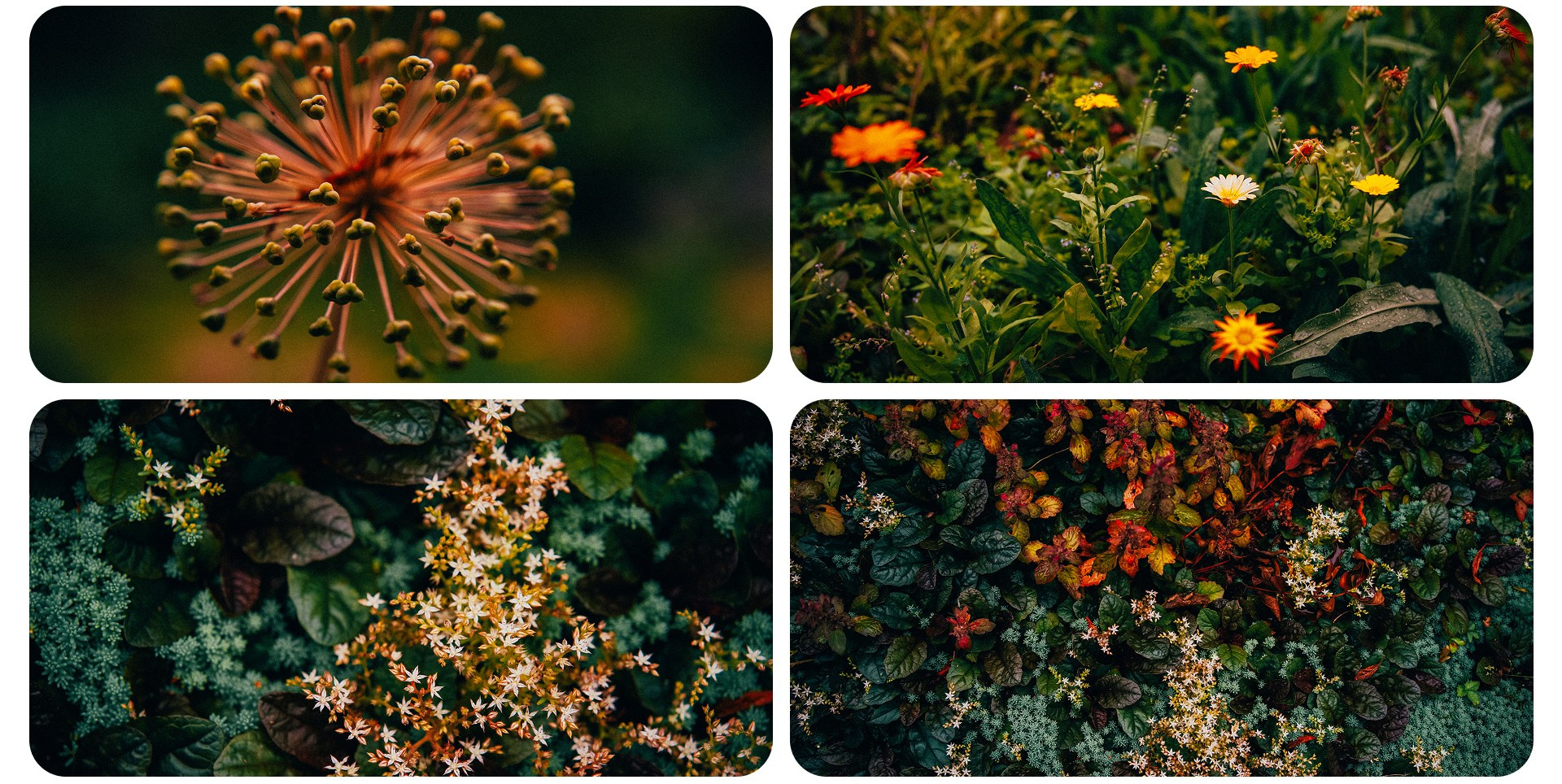 Калининград 3. Фотограф из Москвы — DASHA NOVA | Авторская фотография в разных жанрах