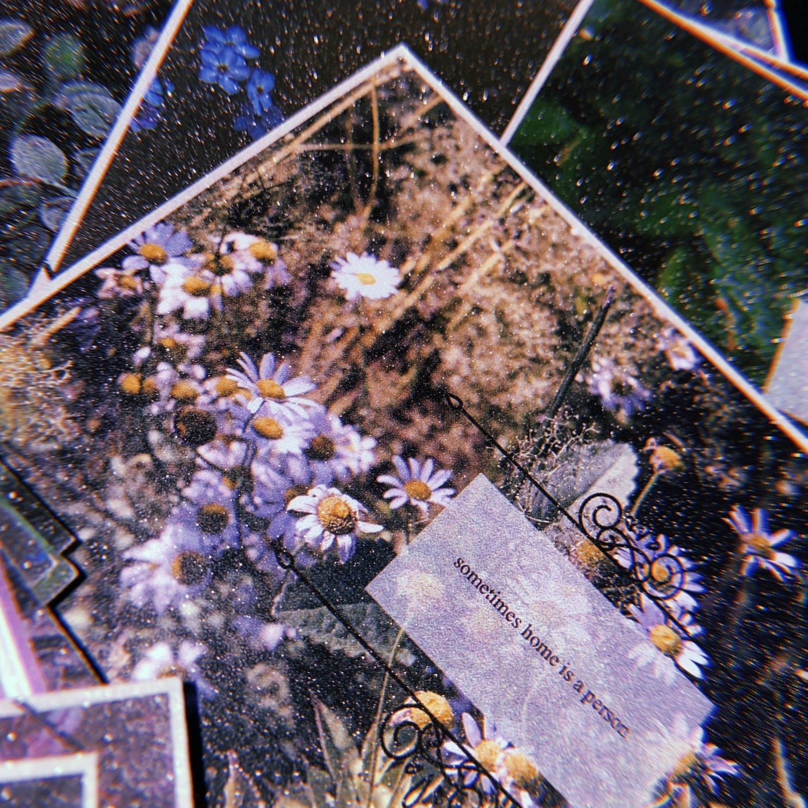 Творческий проект «Белая Полночь». Фотограф Ellairen