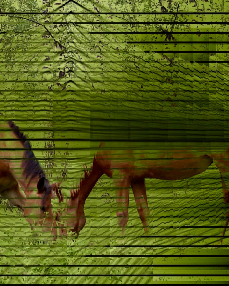 Akbuzat (1). MEMORY in NATURE | digital art gallery