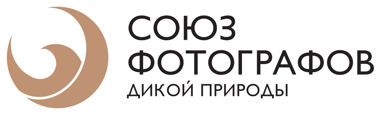 Блок «Партнеры». Фотограф Константин Шамин