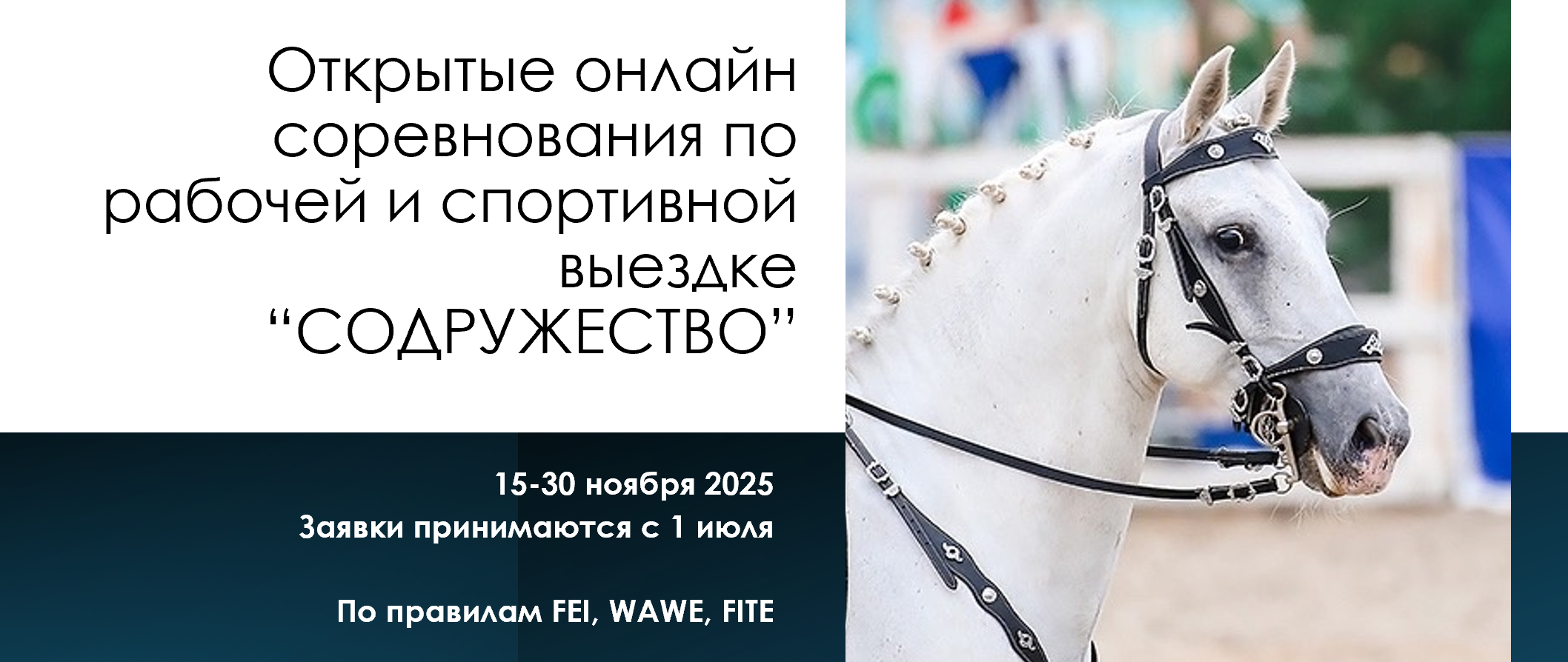 Open Dressage and Equitation Show Sodruzhestvo 2025. Liana Antanovich | Equestrian Strategies
