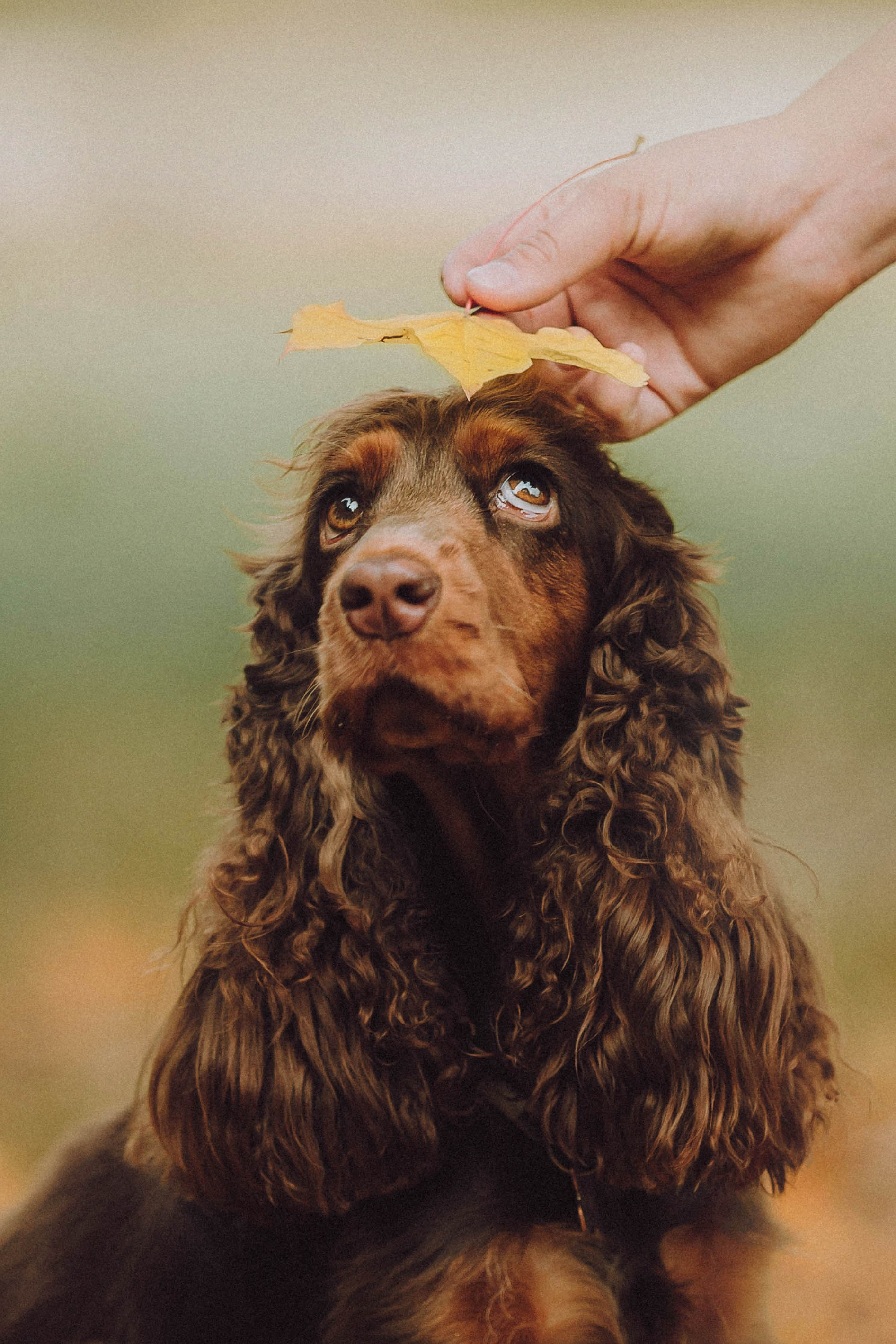 Консультация