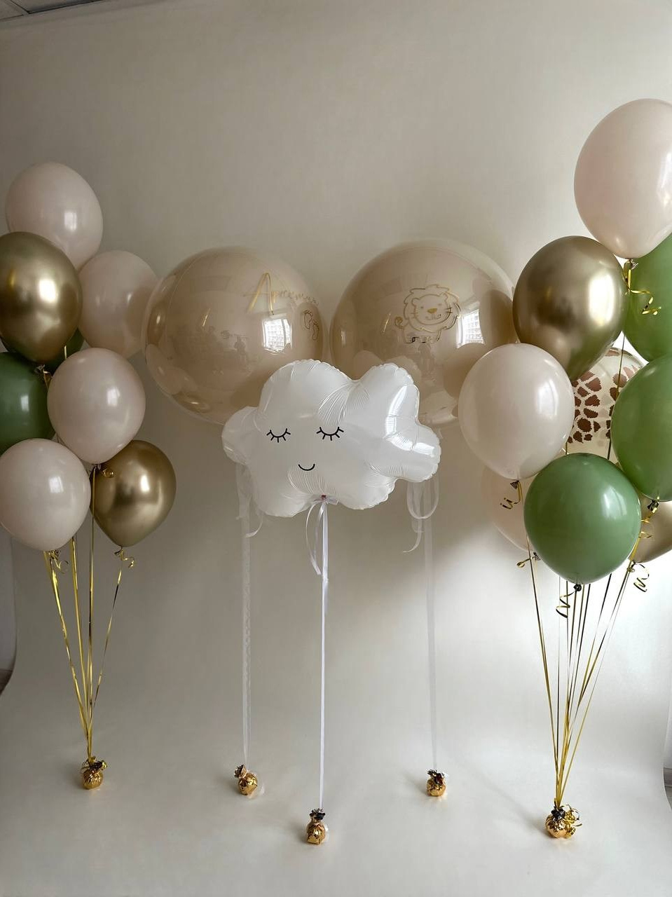 Выписка из роддома. Организация мероприятий «Мир праздника Балу»