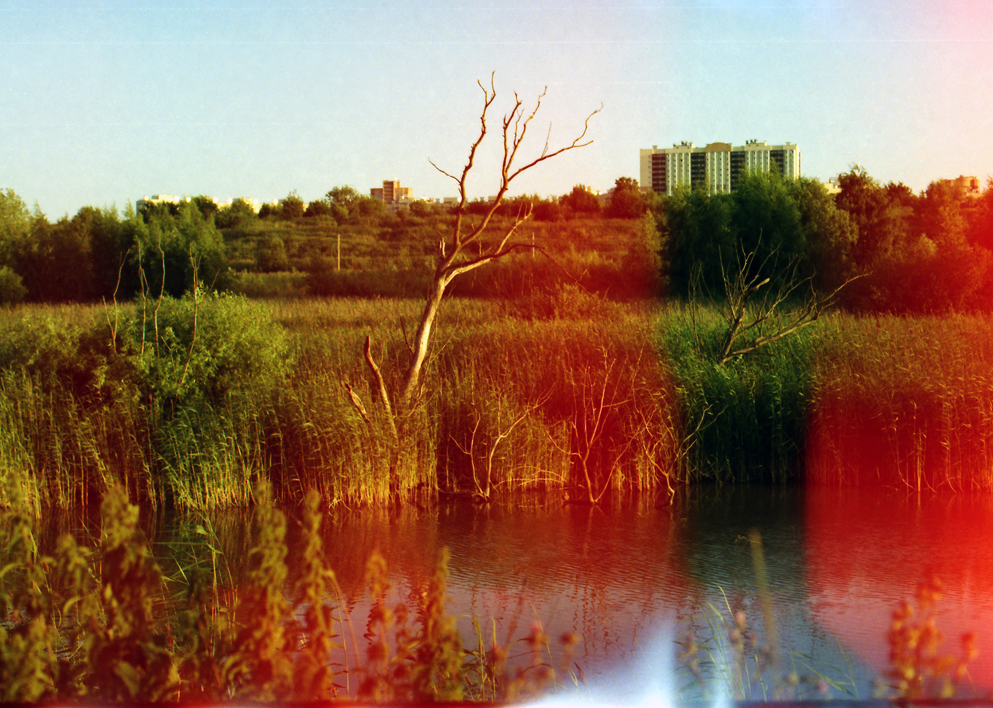 Красненькая биеннале 2021 (СПБ)