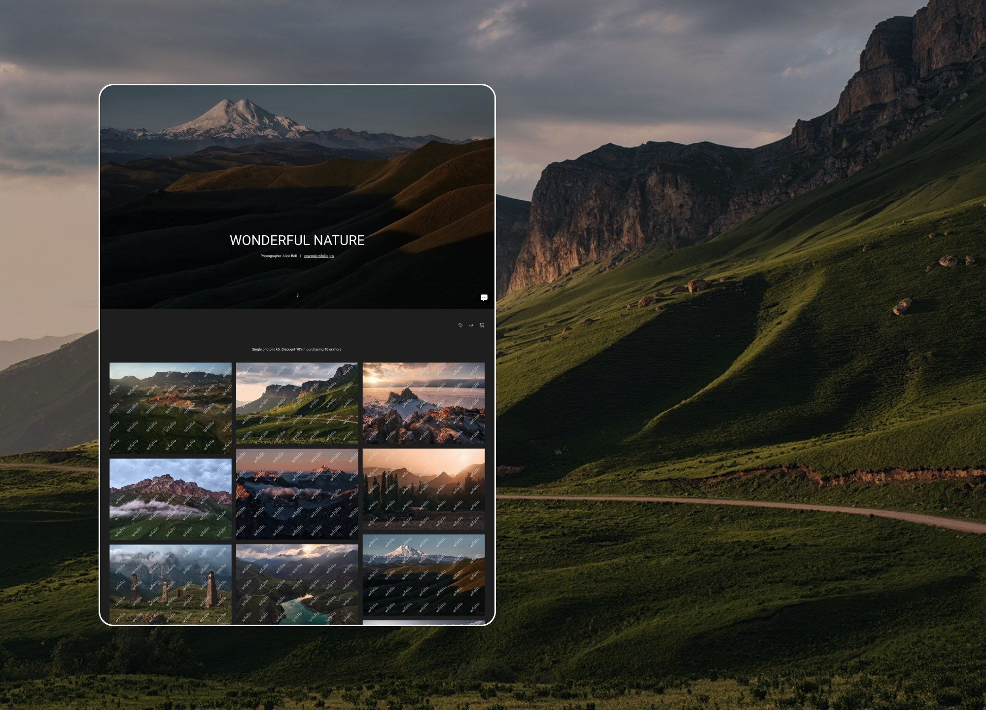 Gallery Examples. Order a website from Wfolio designers