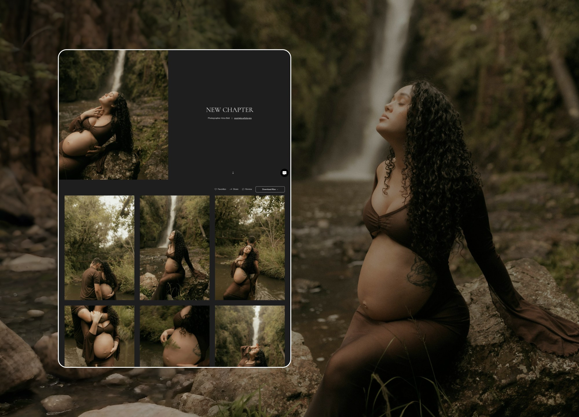 Gallery Examples. Order a website from Wfolio designers